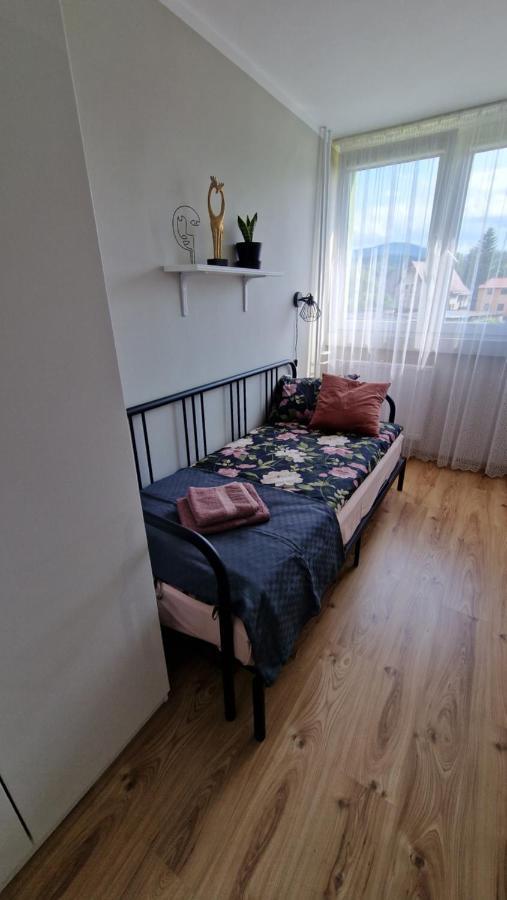 Ferienwohnung Apartament Spoko-Loko Stronie Śląskie Exterior foto